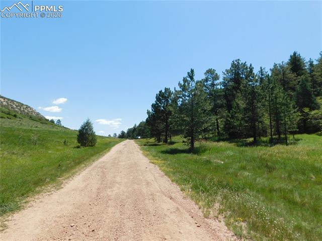Photo 22 of 4668 Comanche Drive, Larkspur