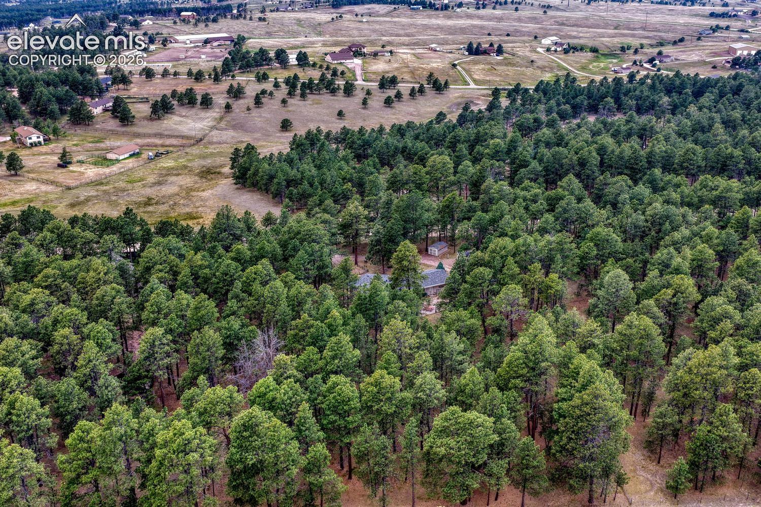 Photo 50 of 14225 Ponderosa Road, Colorado Springs