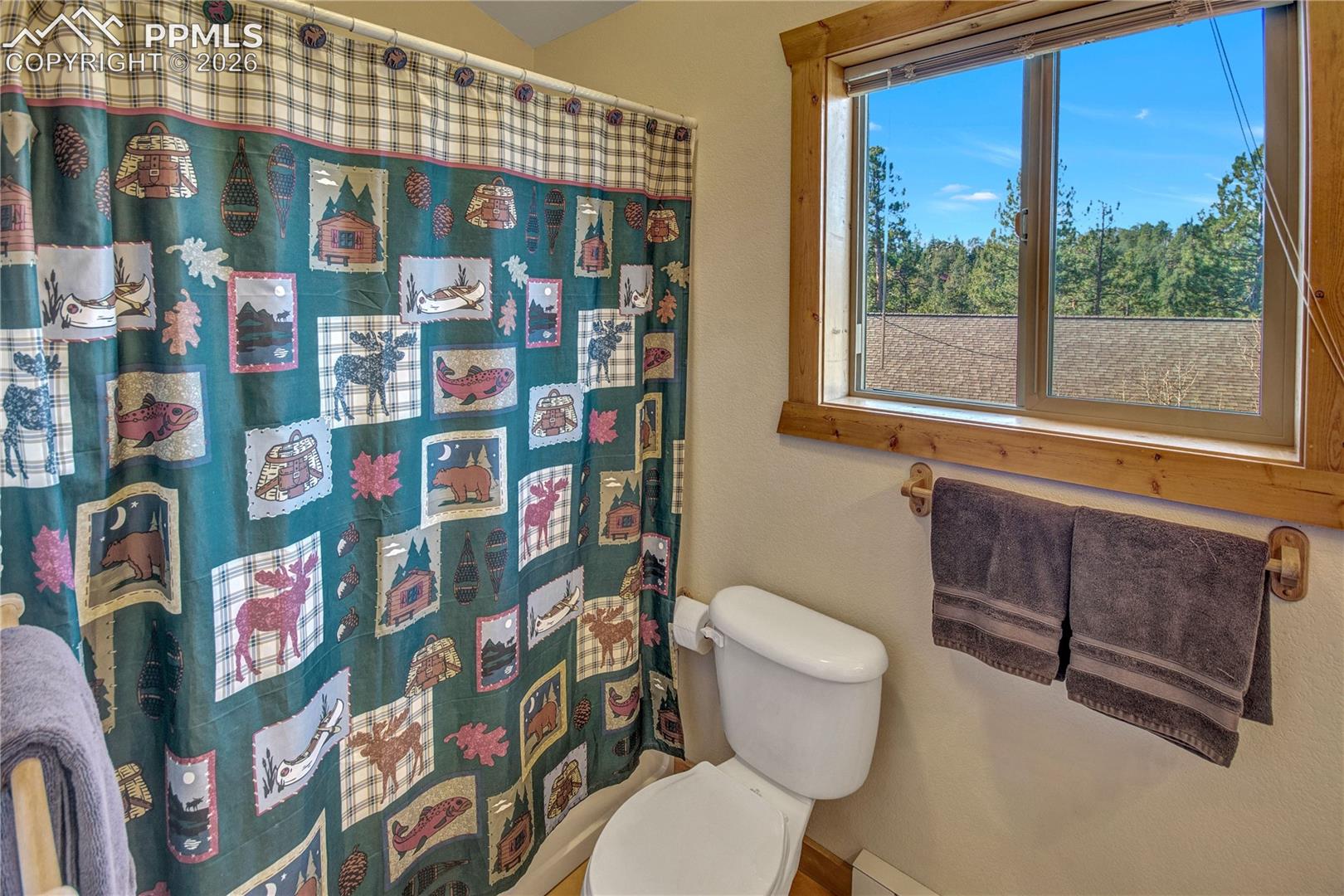 Photo 35 of 71 Durelli Drive, Woodland Park