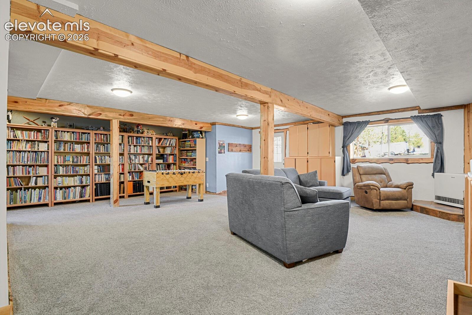 Family Room with walk-out access, new carpeting and a toasty new gas furnace