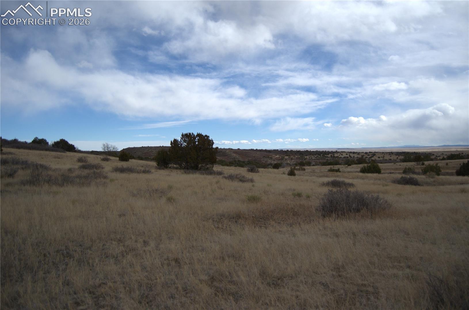 Photo 4 of Rosemoore Drive, Colorado City
