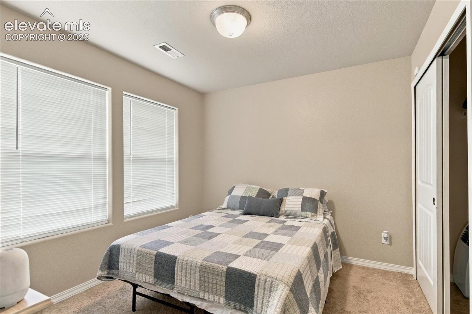 Neutral-toned interior featuring carpeted flooring, dual windows with fitted horizontal blinds, flush-mount ceiling lighting, and a sliding-door closet