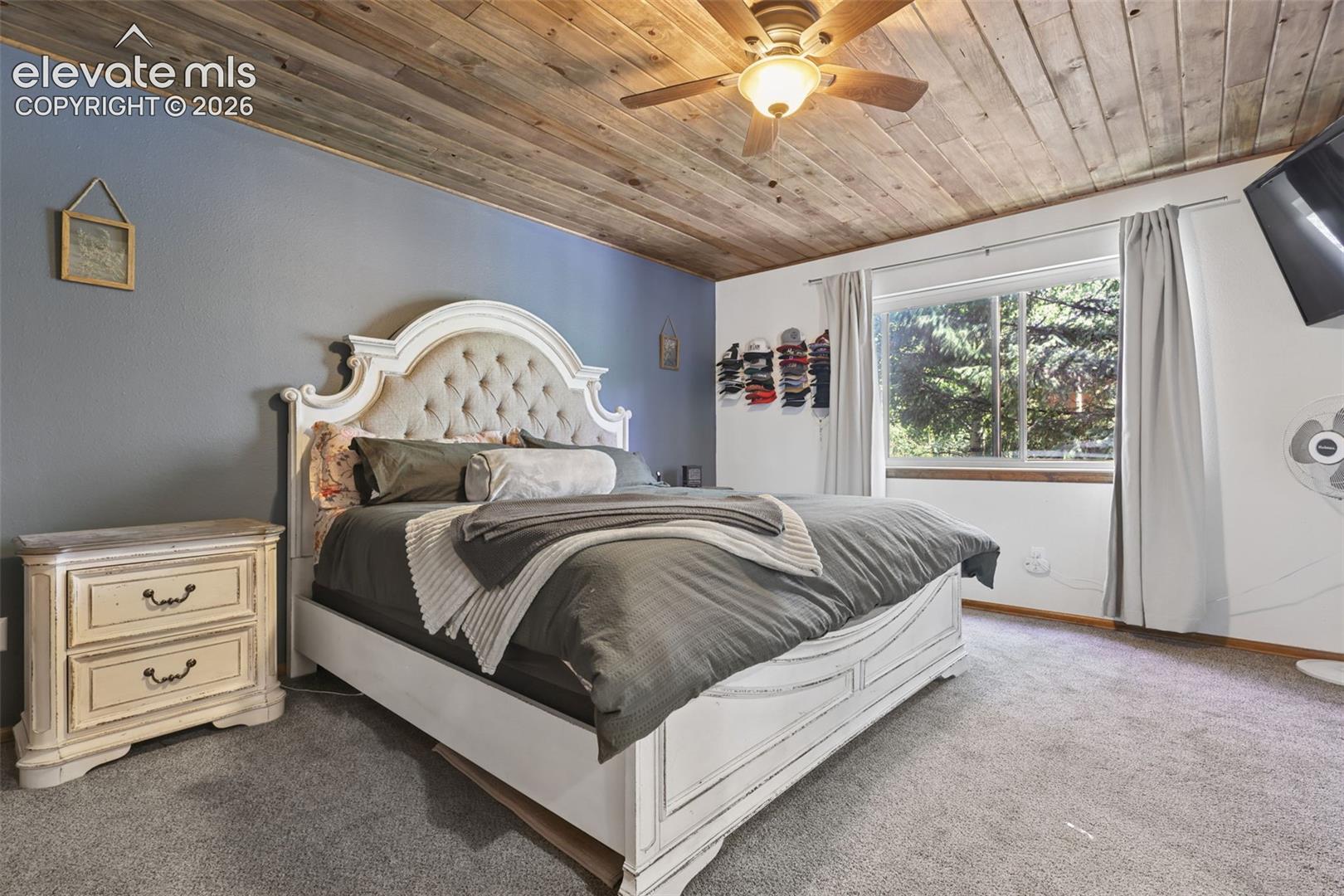 Wood-paneled ceiling with a ceiling fan light fixture, carpeted flooring, and a large window