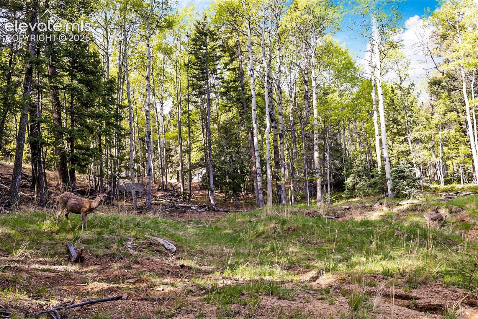 Photo 20 of 714 Will Stutley Drive, Divide