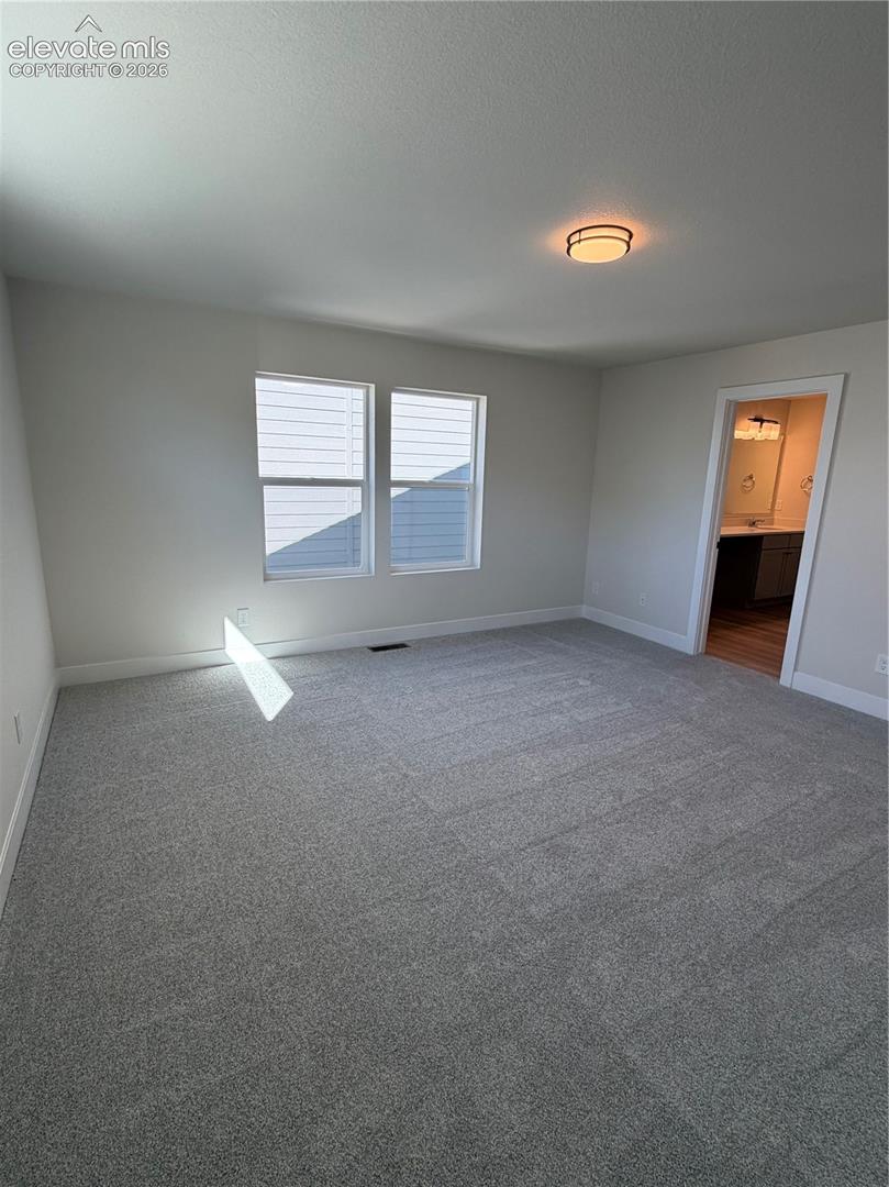 Neutral-toned room featuring wall-to-wall carpeting, dual windows, and a flush-mount ceiling light fixture