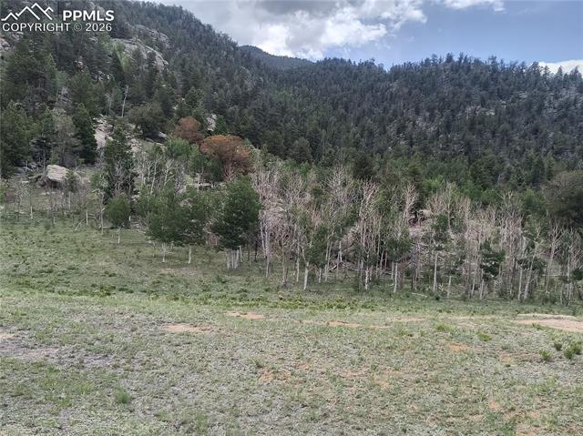 View of mountain backdrop with a forest