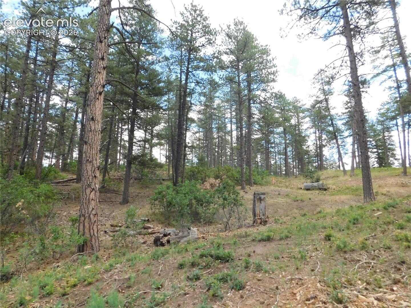 Photo 30 of 8139 Bannock Drive, Larkspur