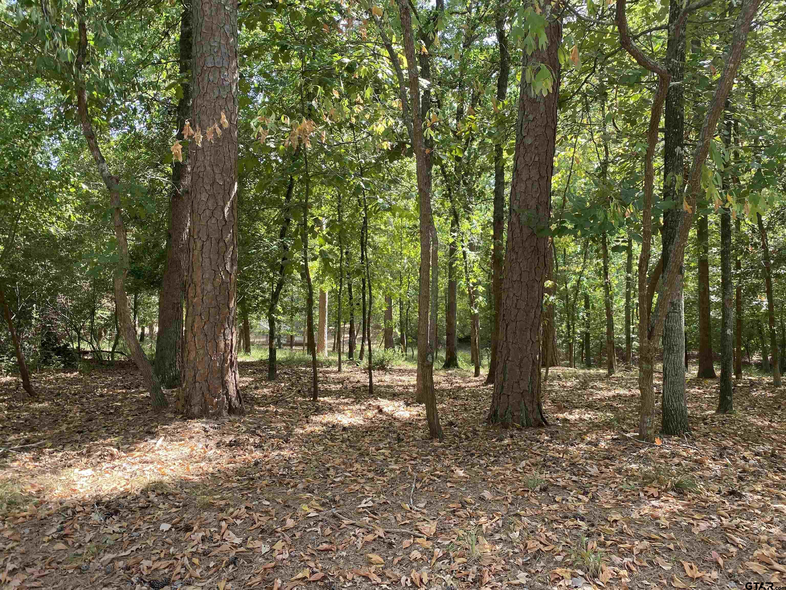 East Texas
