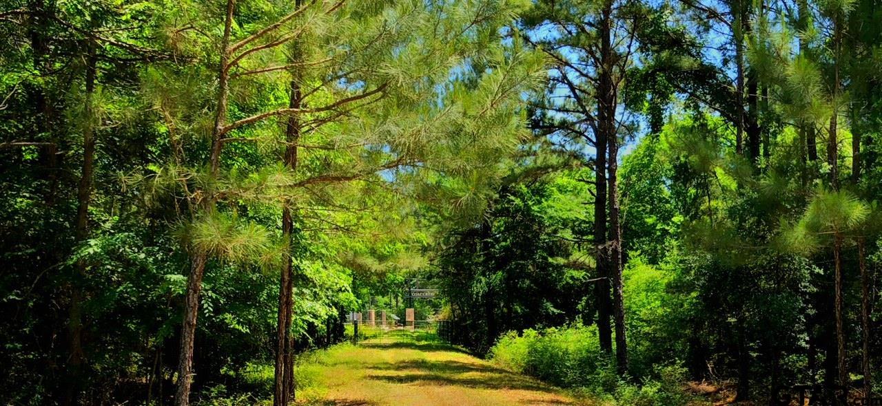East Texas