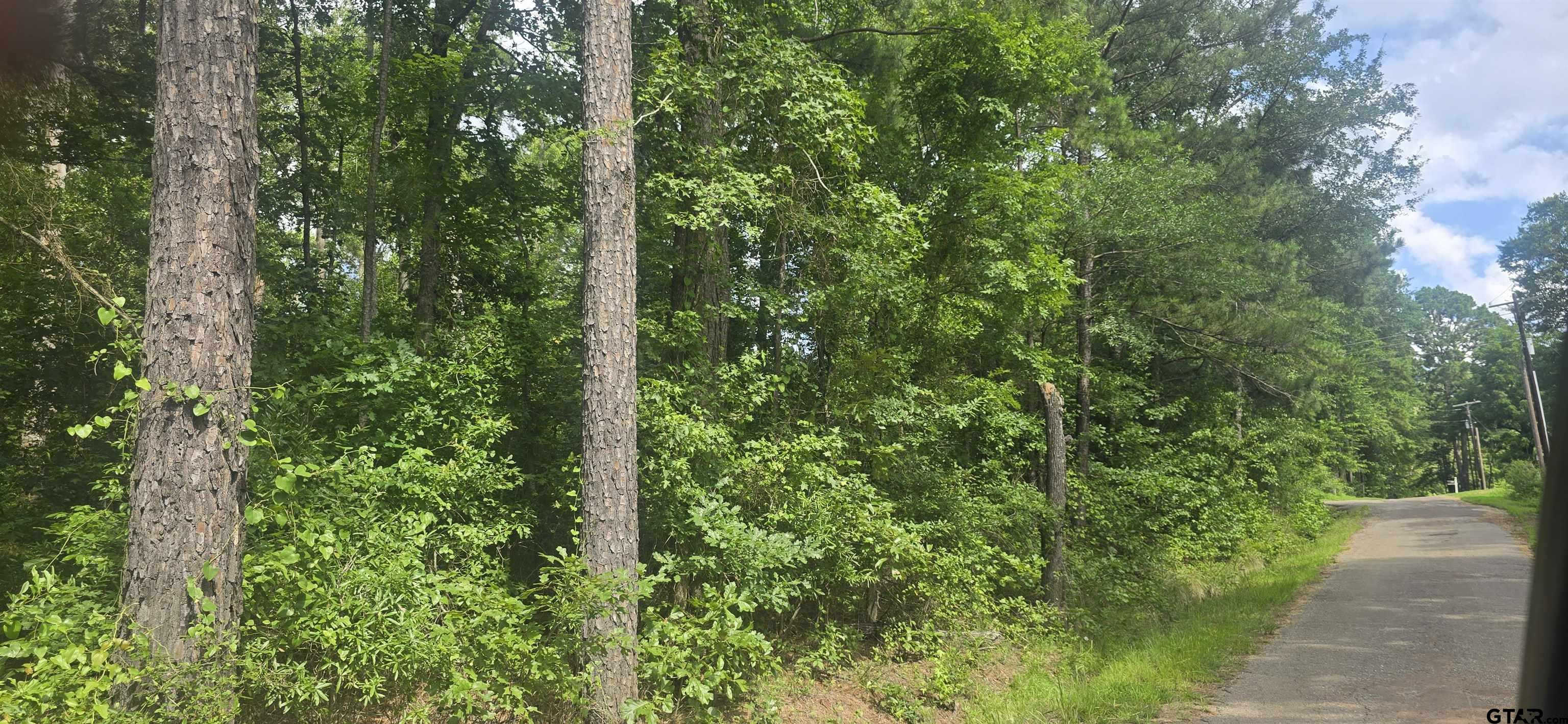 East Texas