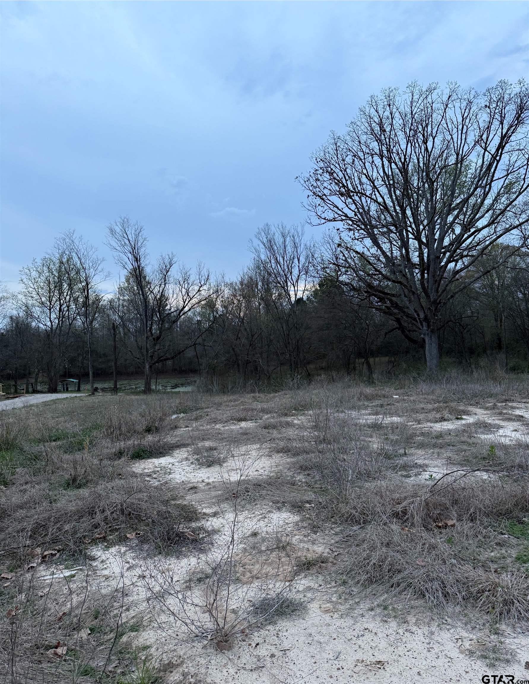 East Texas