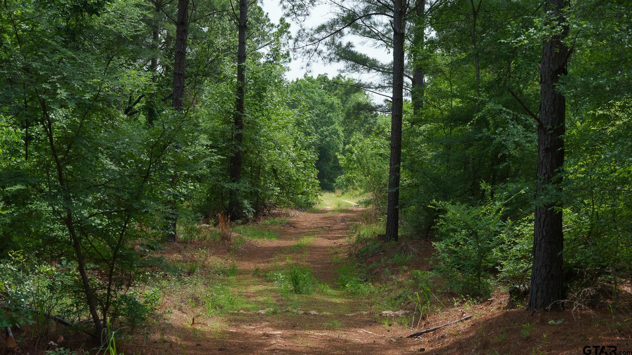East Texas