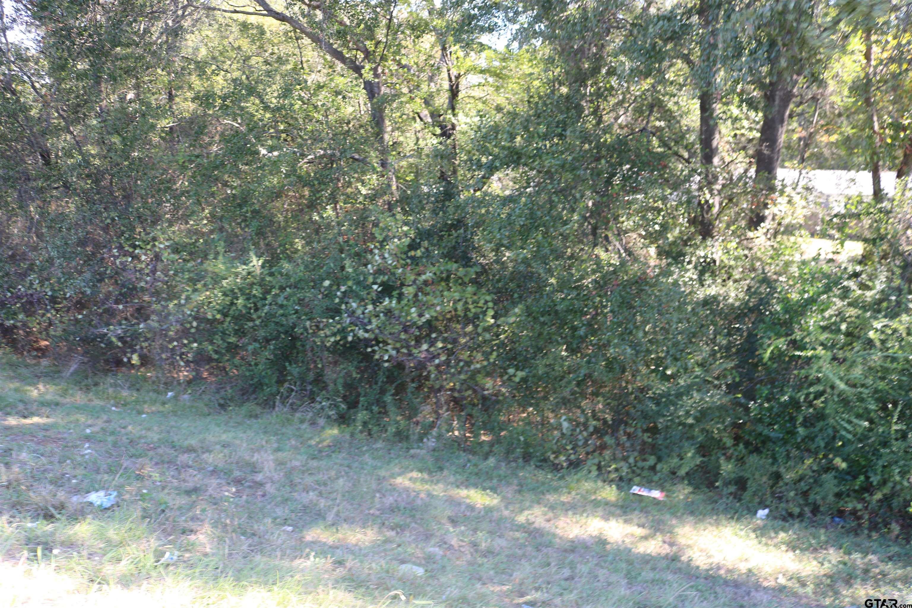 East Texas