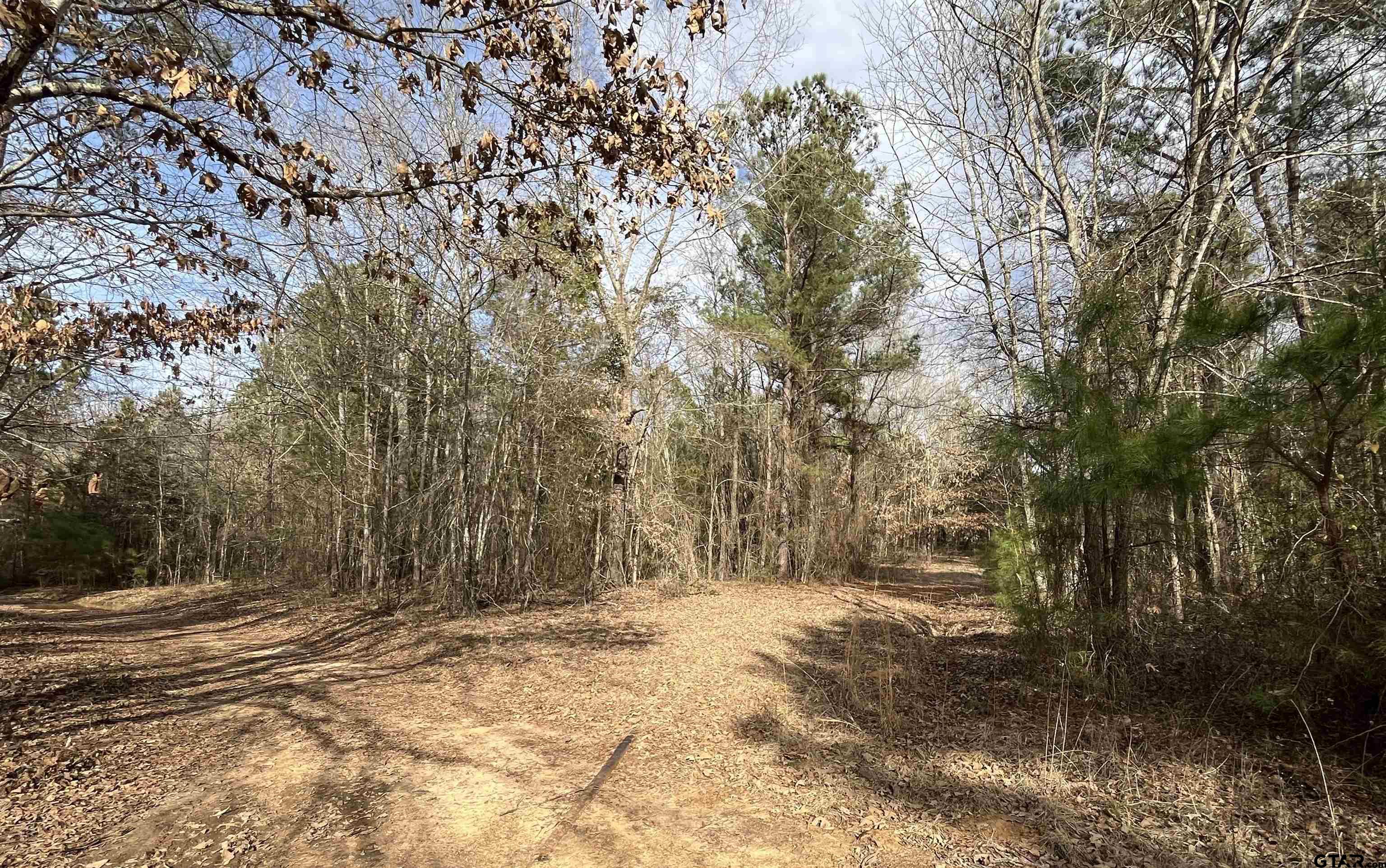 White Oak White Oak