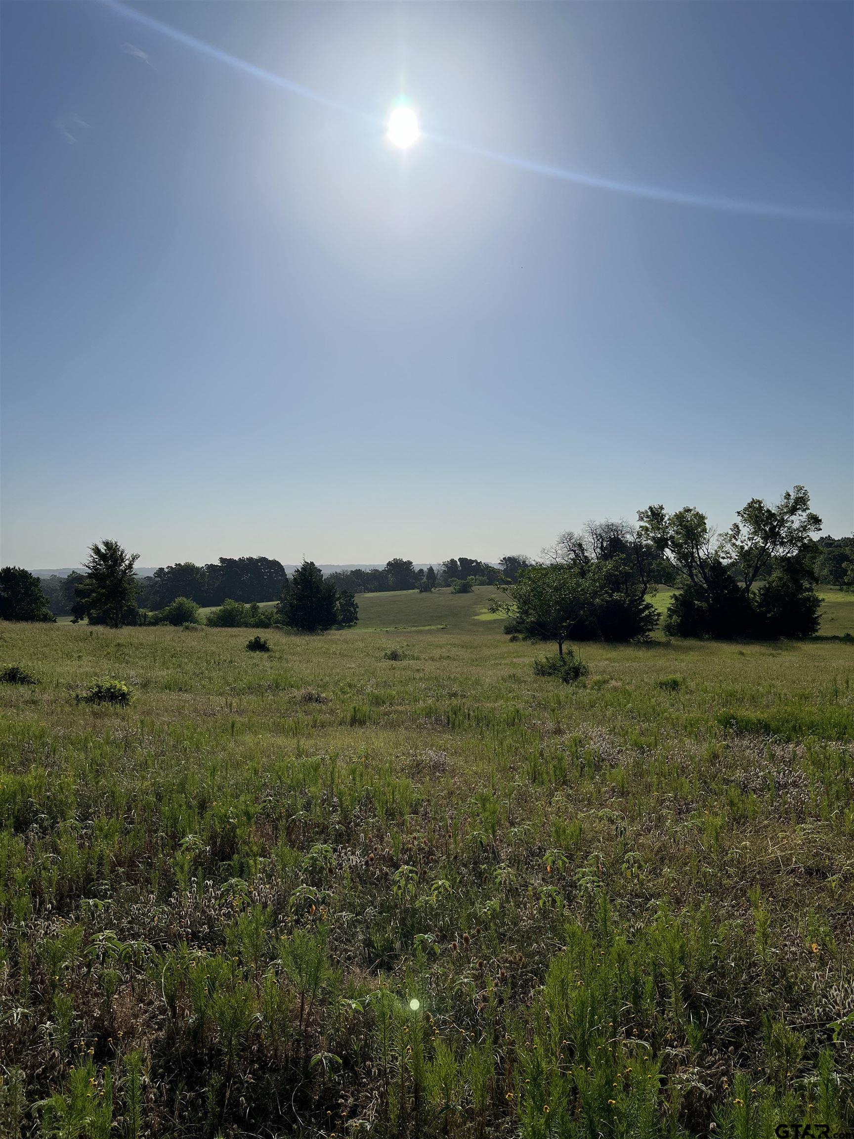 Lindale