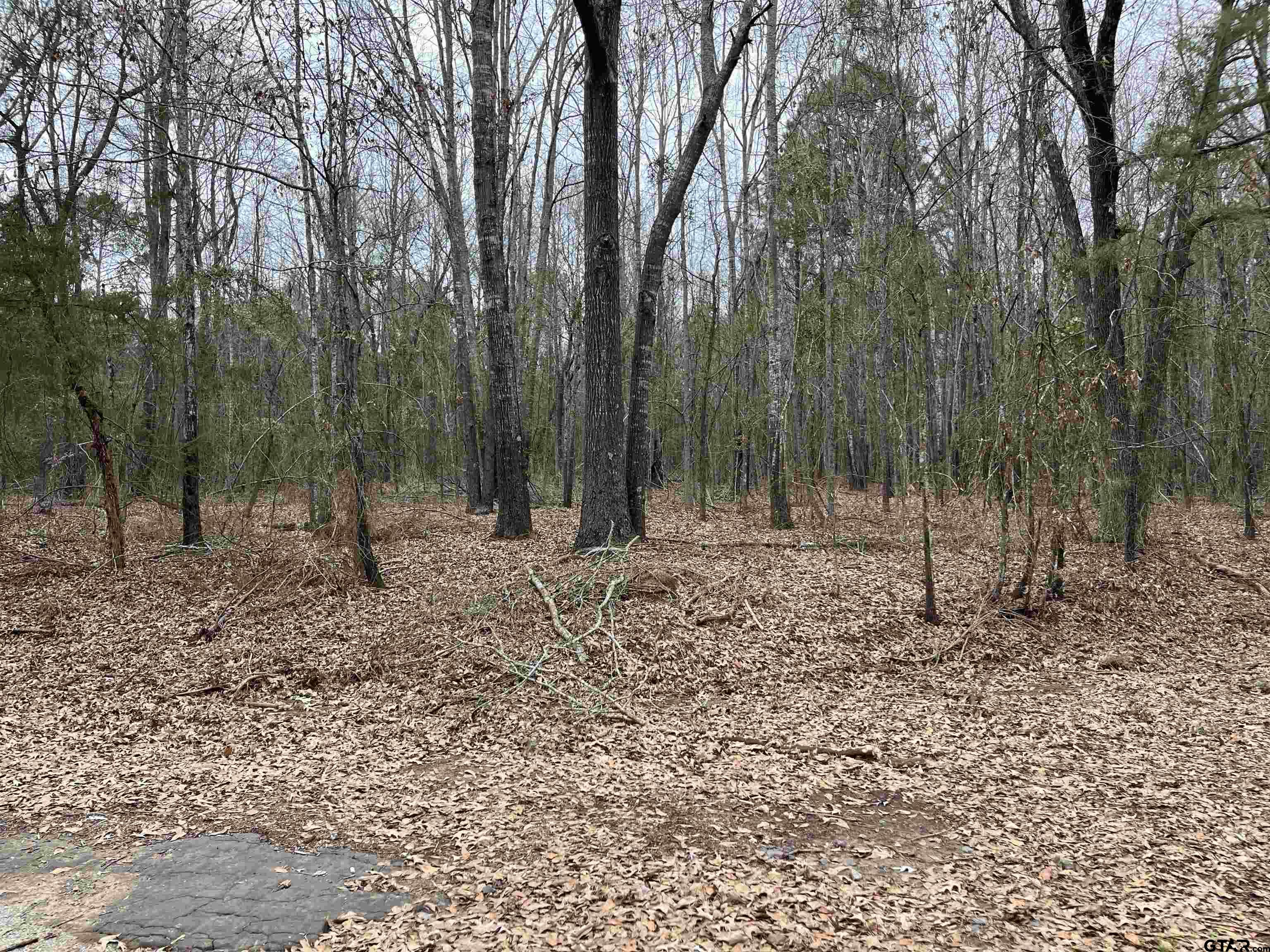 White Oak White Oak