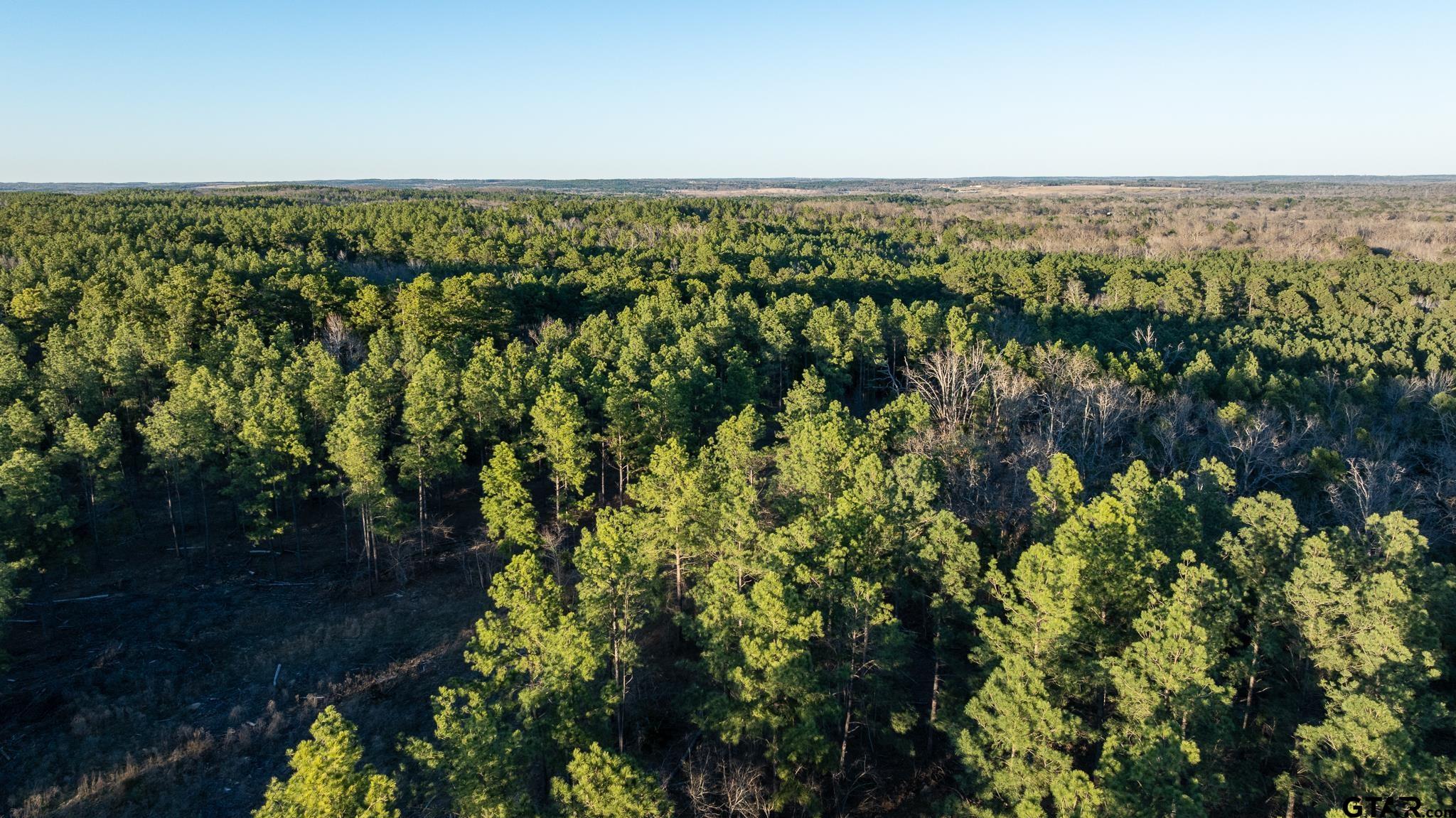 East Texas