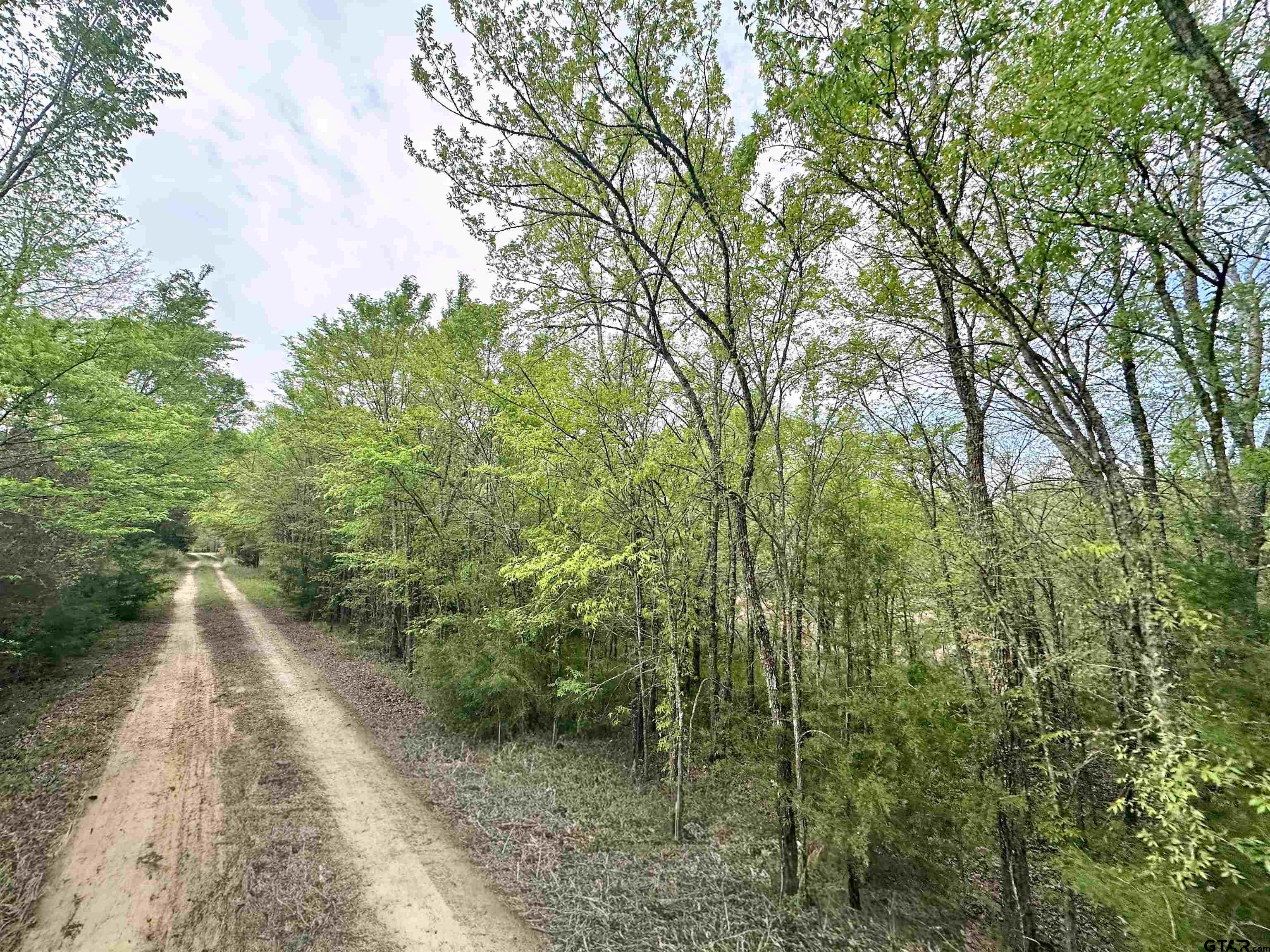 FEATURED LISTINGS