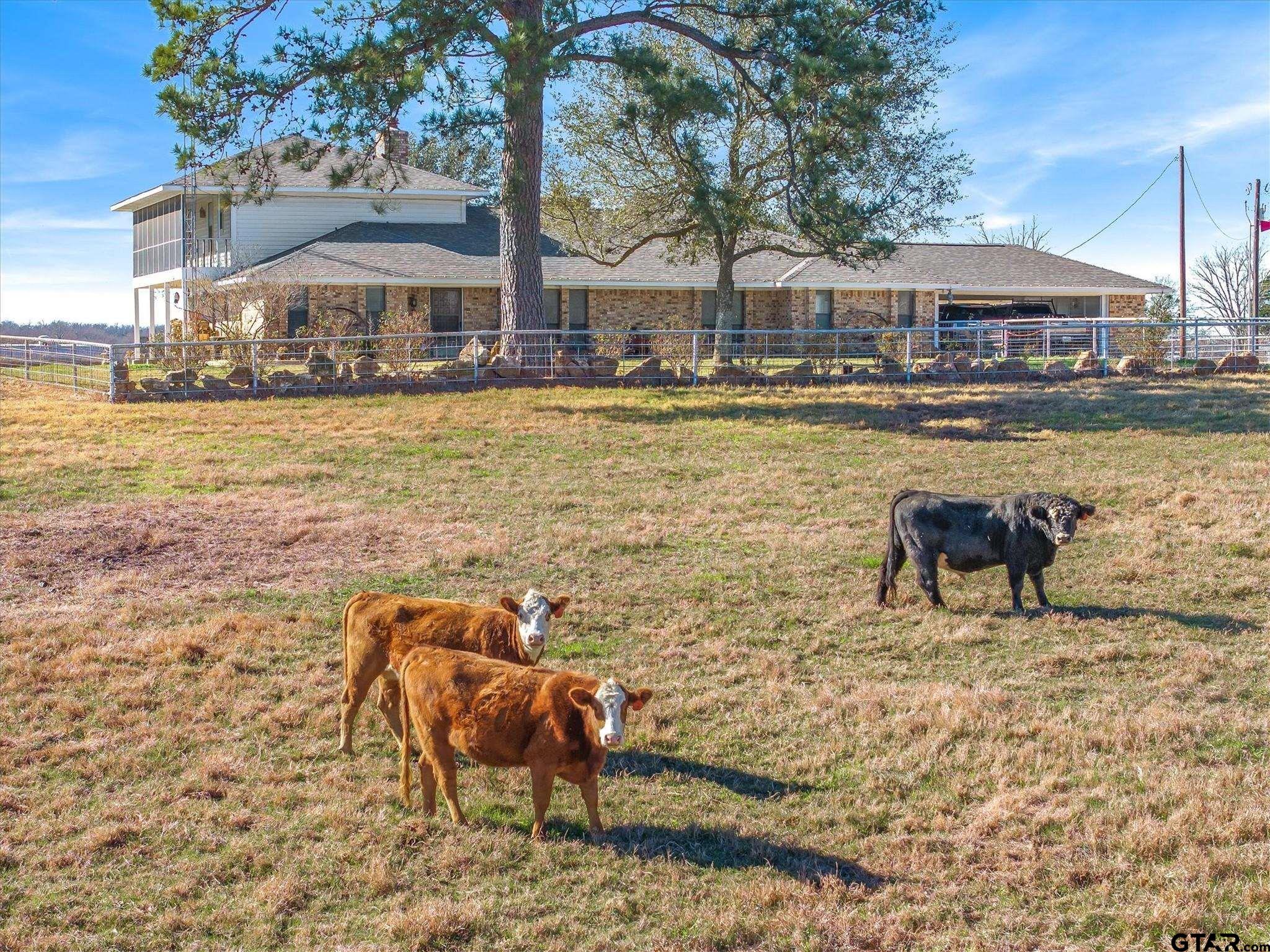 East Texas