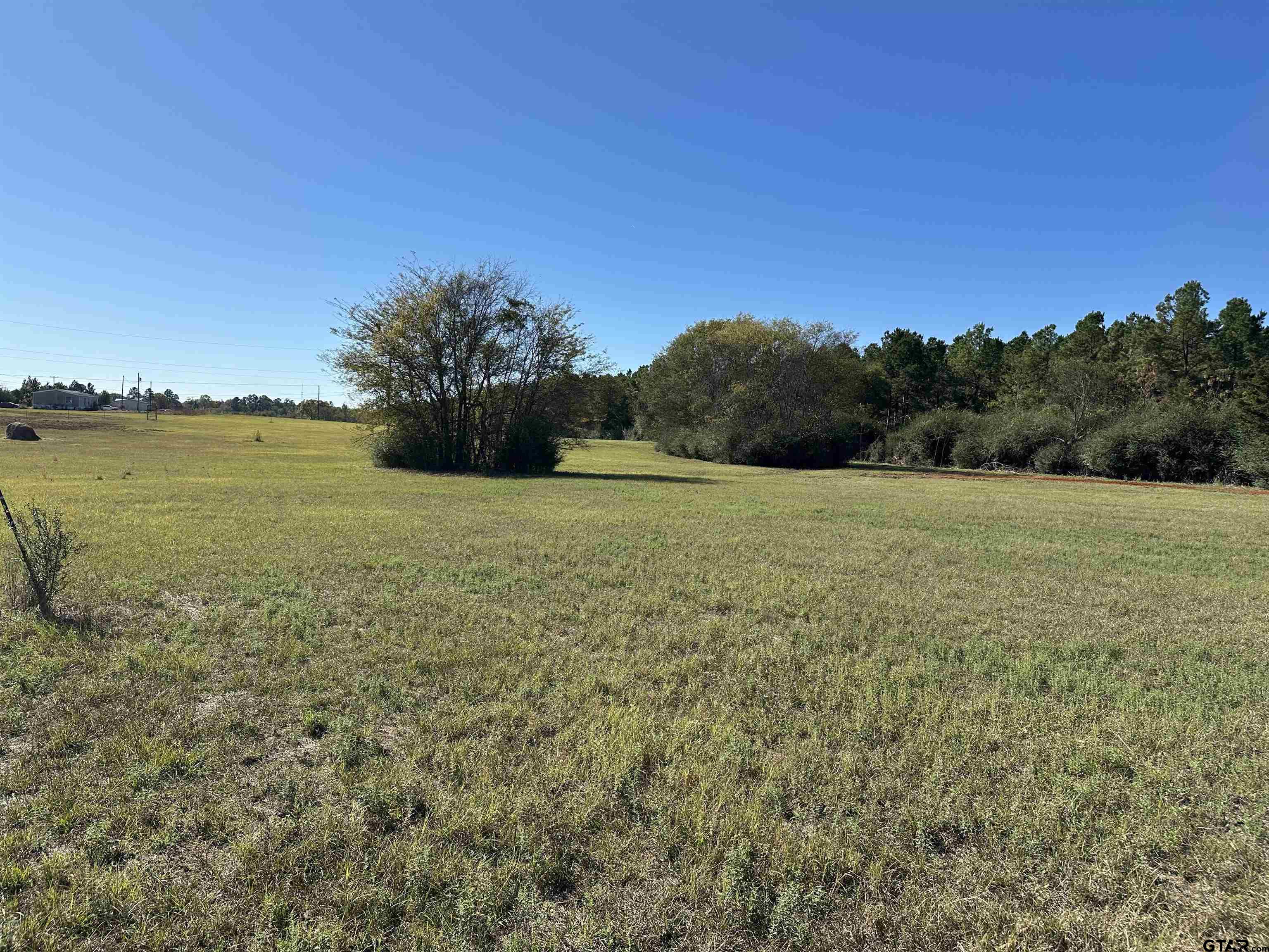 East Texas