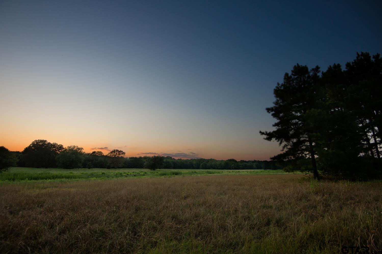 East Texas