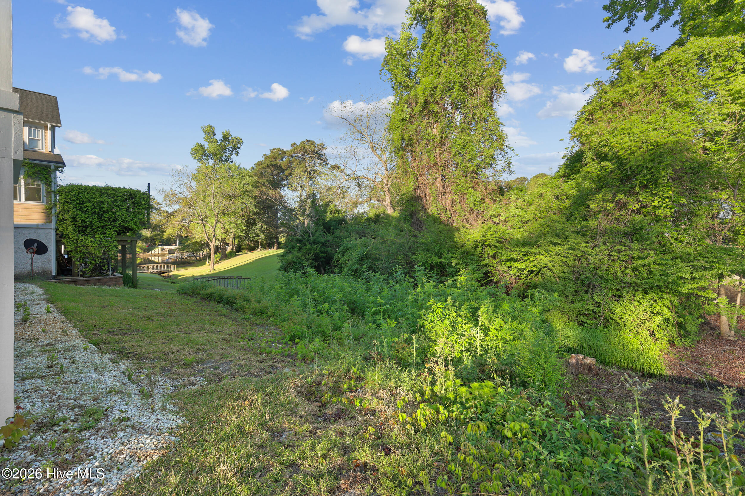 100567096 | Photo 61