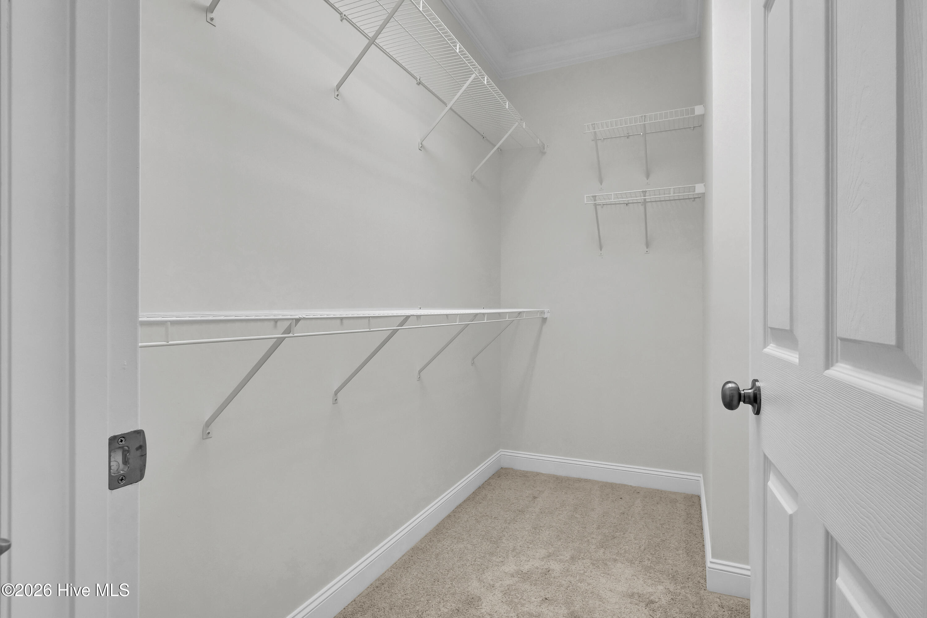 100559268 | Photo 21