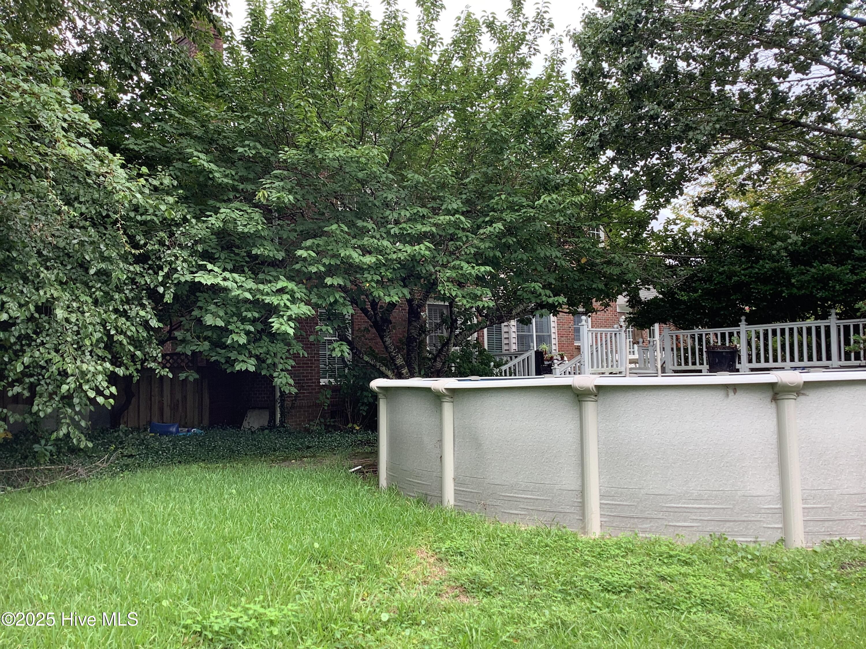 100524390 | Photo 36