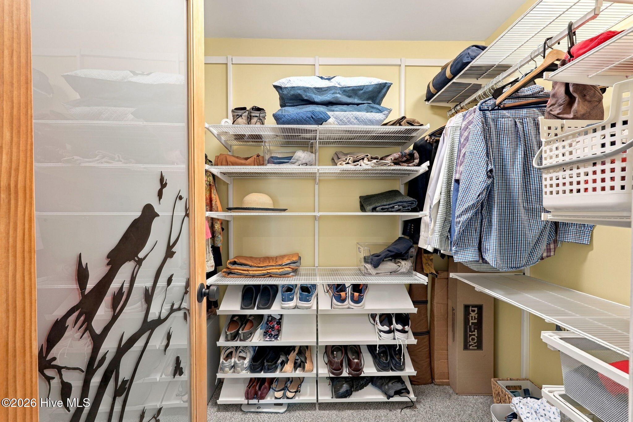 101 Skipper Circle,Oriental