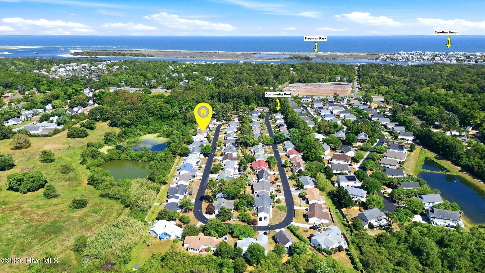 100567371 | Photo 60