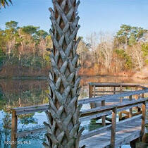 100524017 | Photo 31