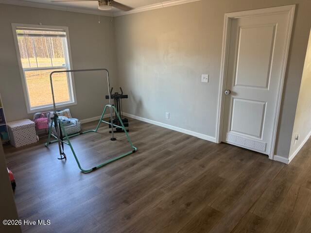 100555243 | Photo 41