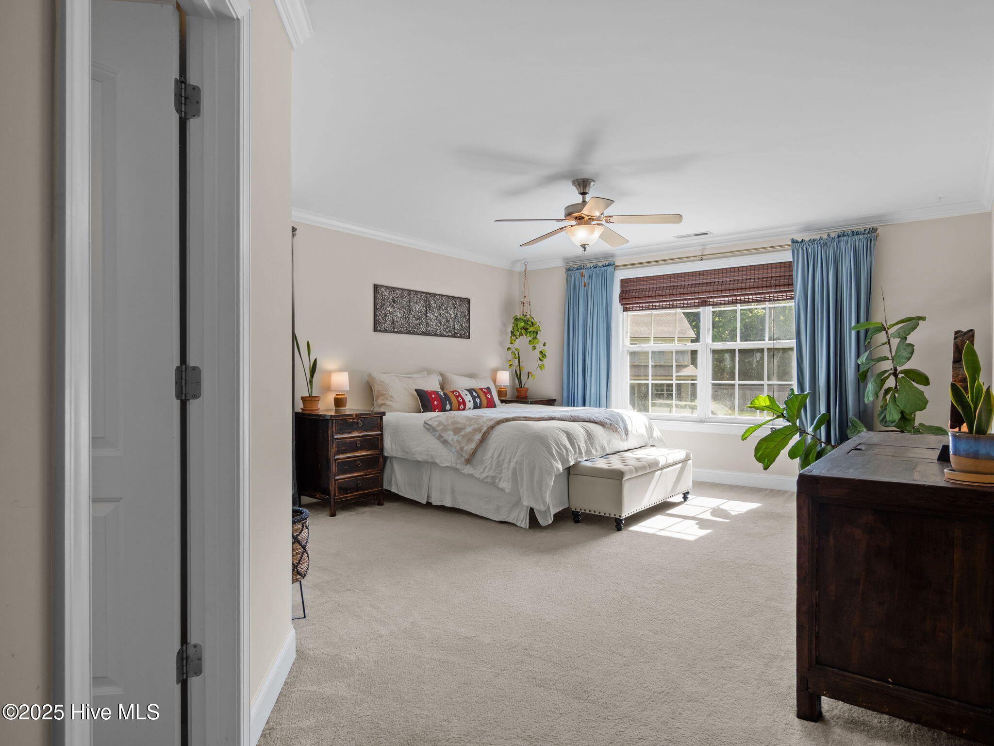 100525324 | Photo 15