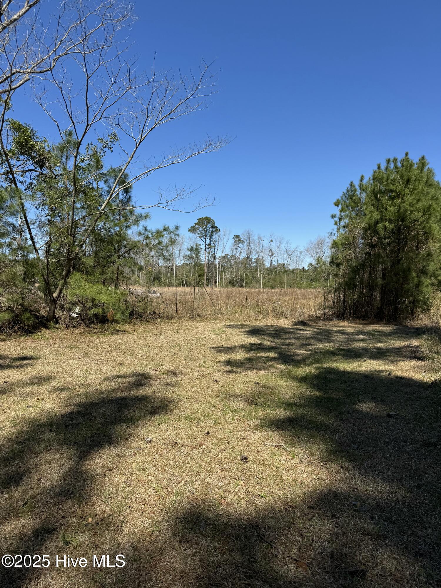 100507548 | Photo 17