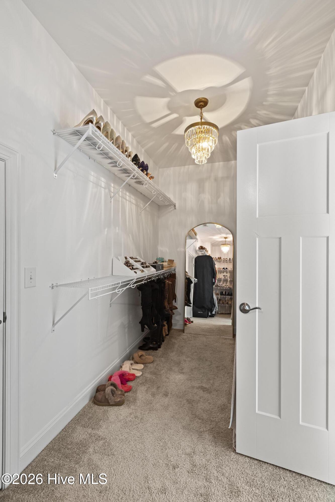 100549977 | Photo 31