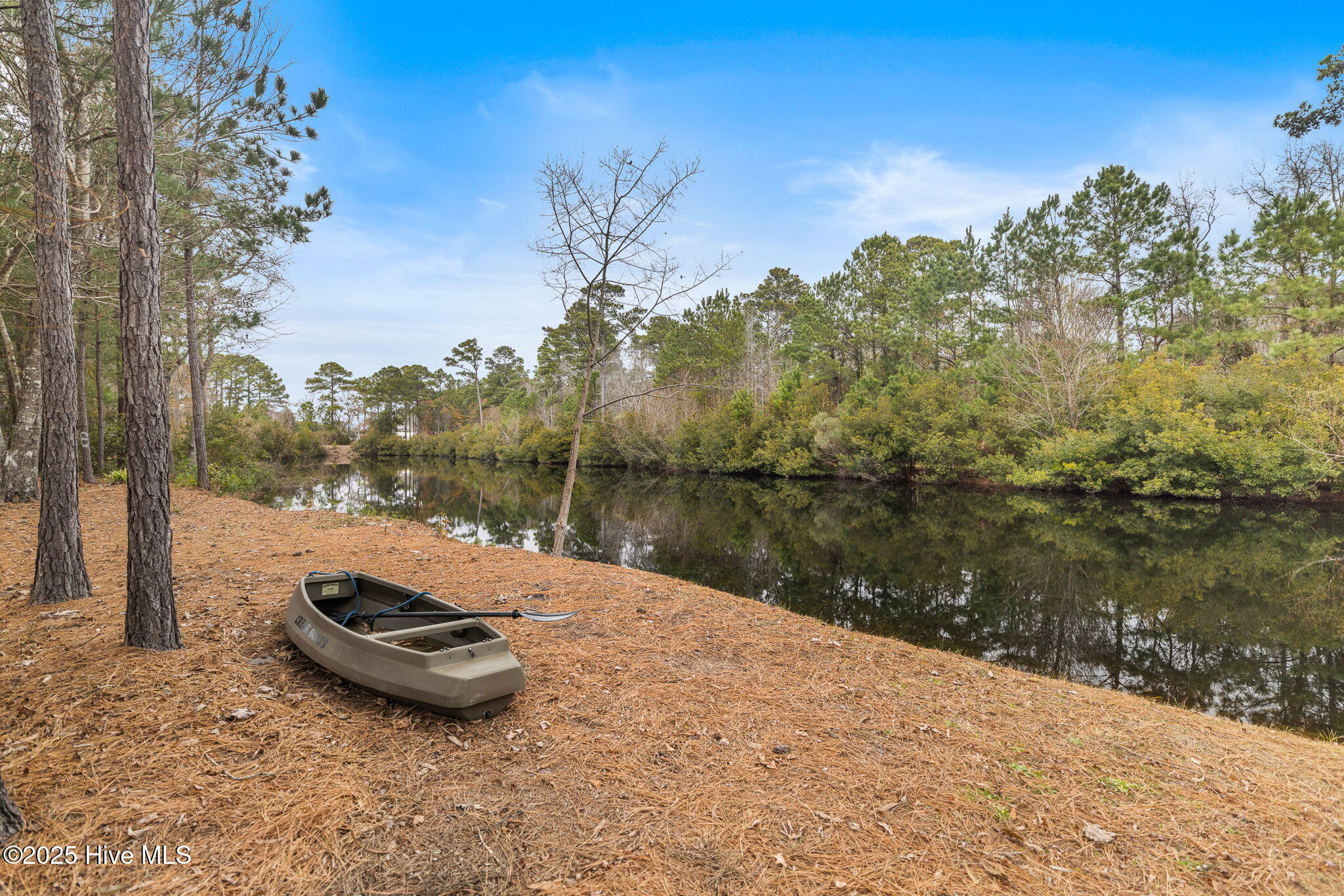 100546580 | Photo 40