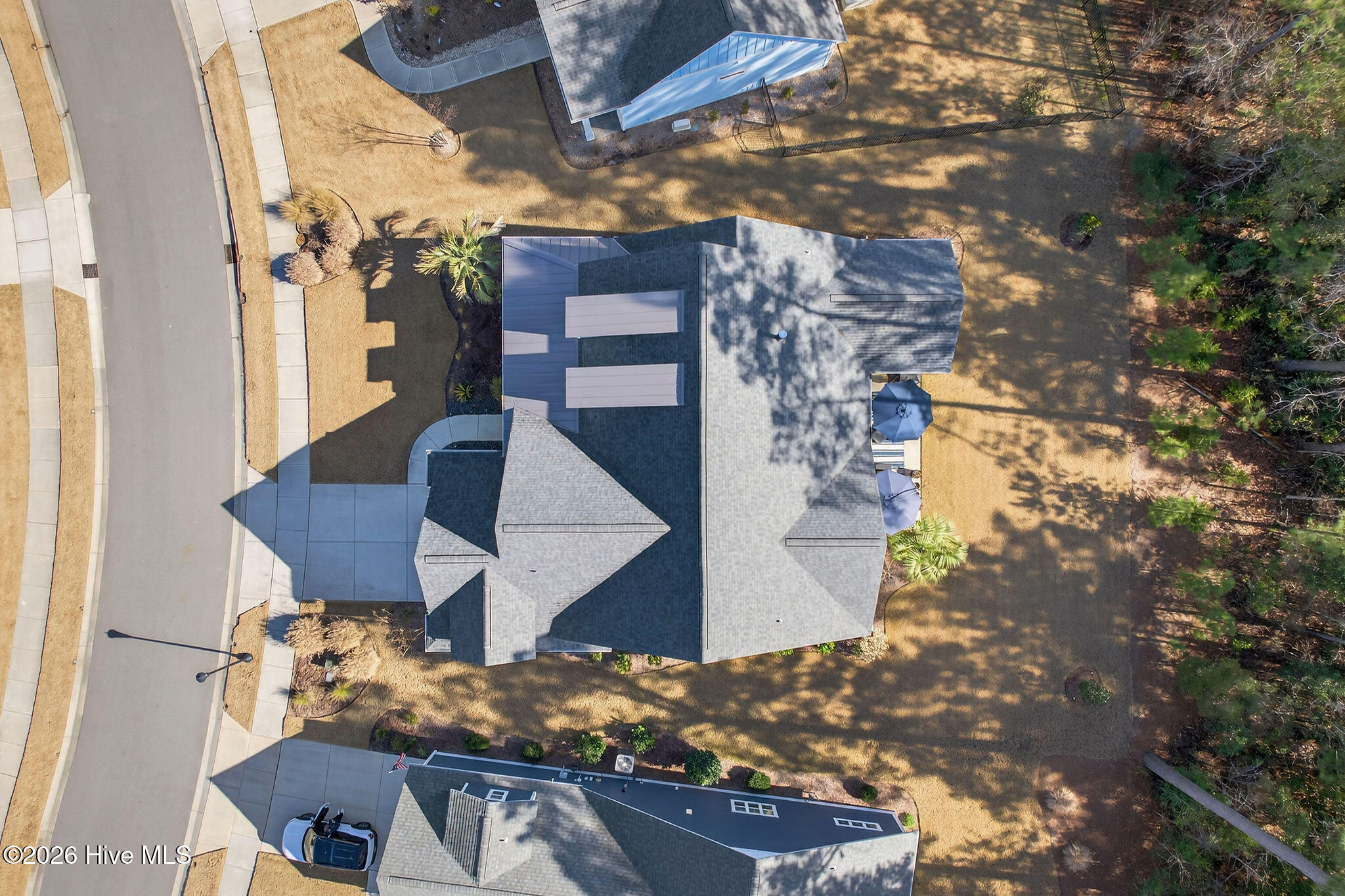 100554107 | Photo 59