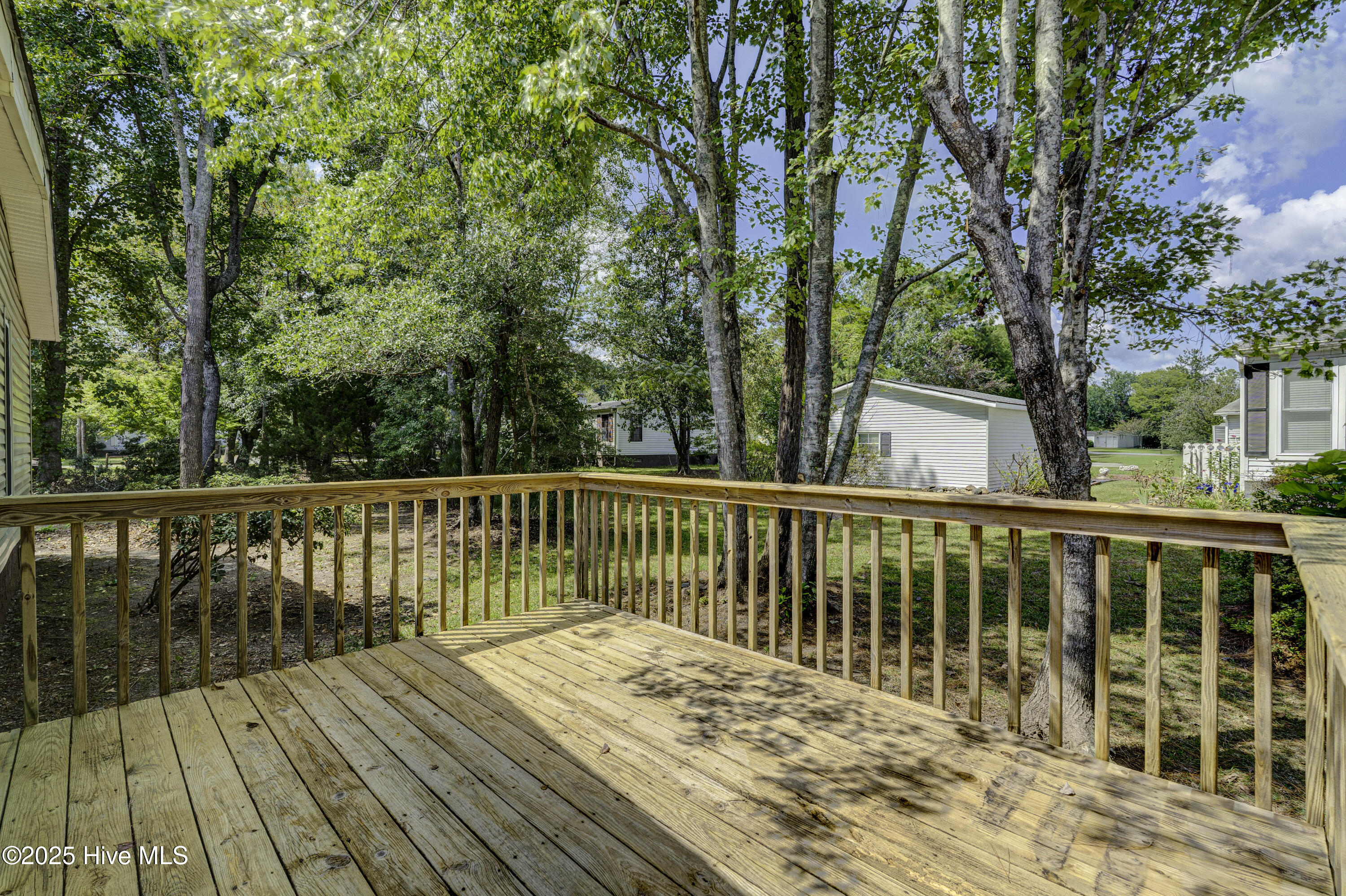 100532142 | Photo 38