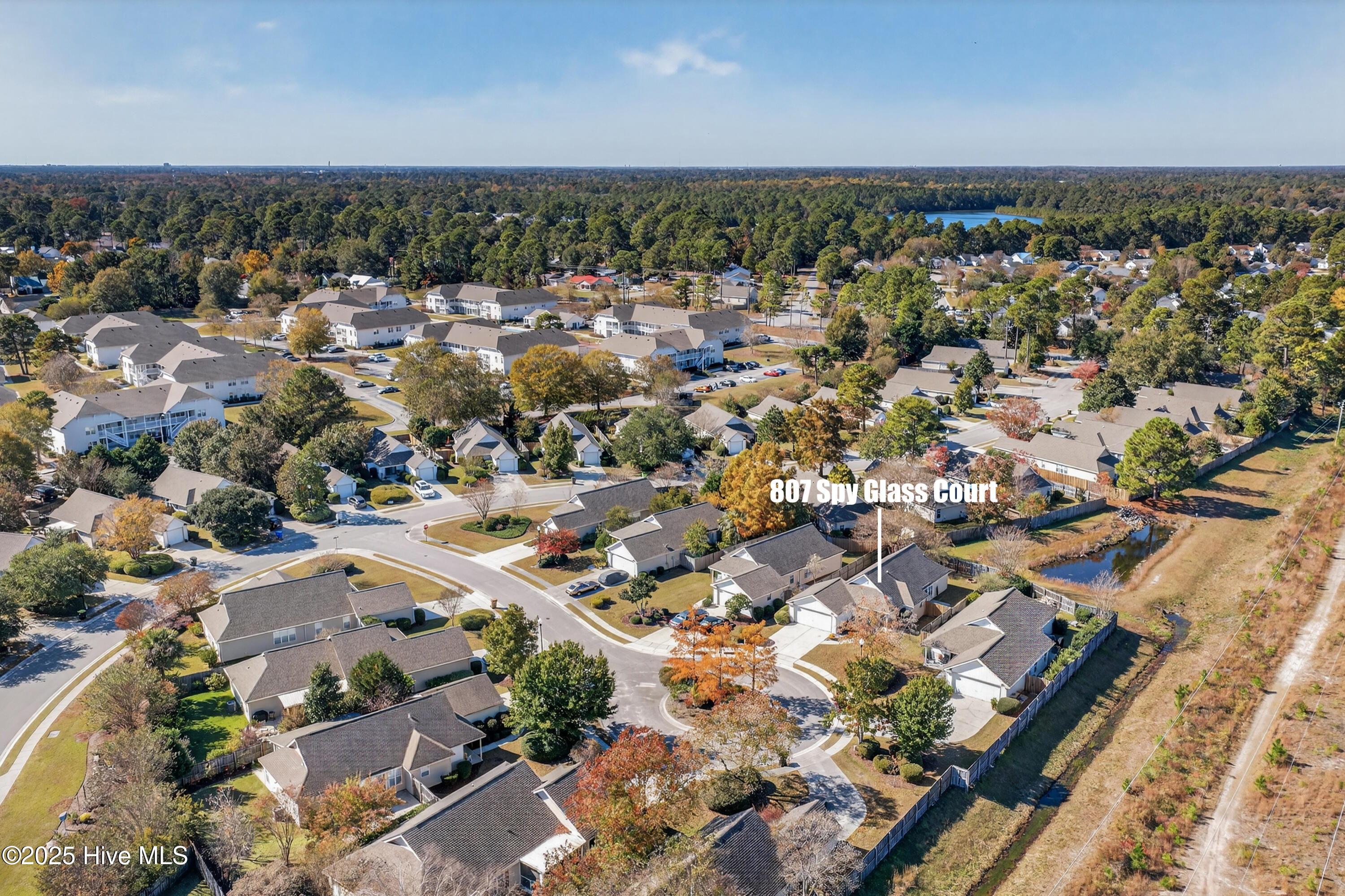 100541920 | Photo 37