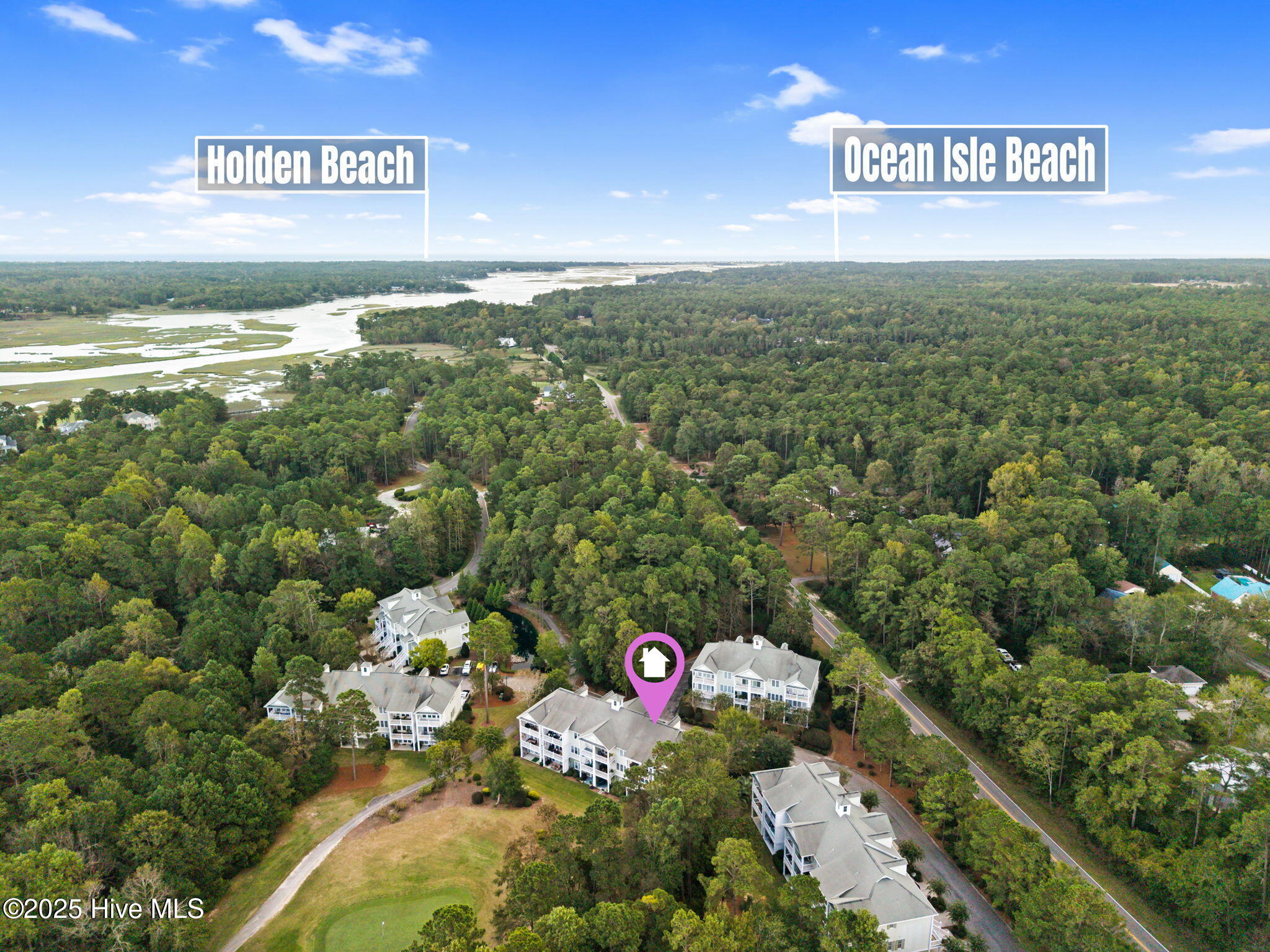 100534473 | Photo 38