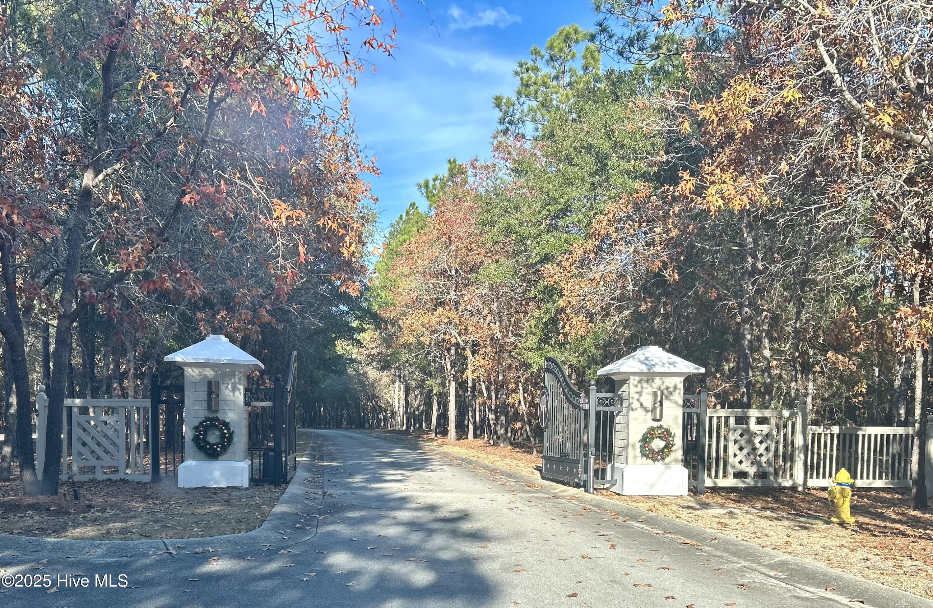 100545172 | Photo 10