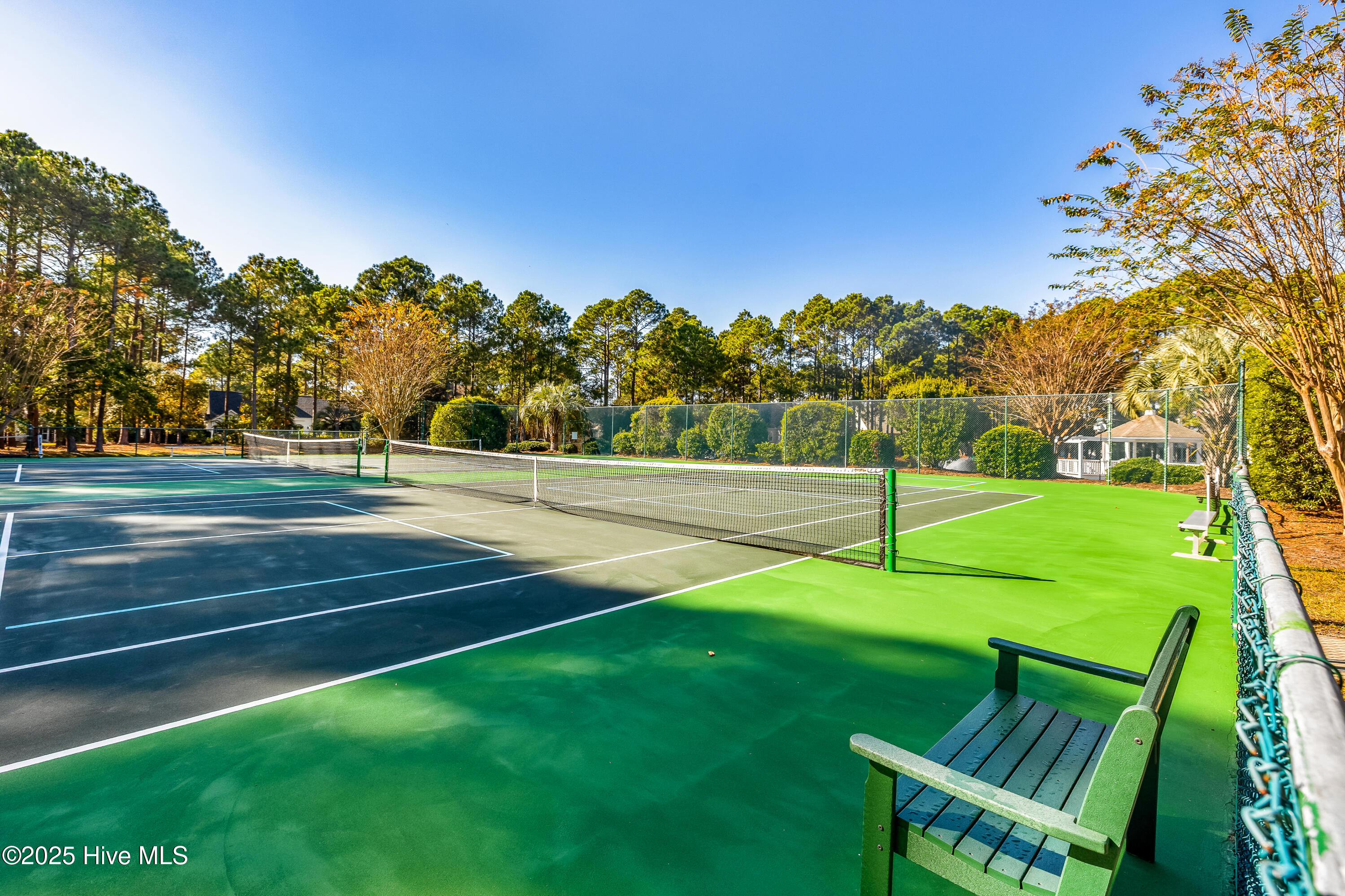 100540432 | Photo 40