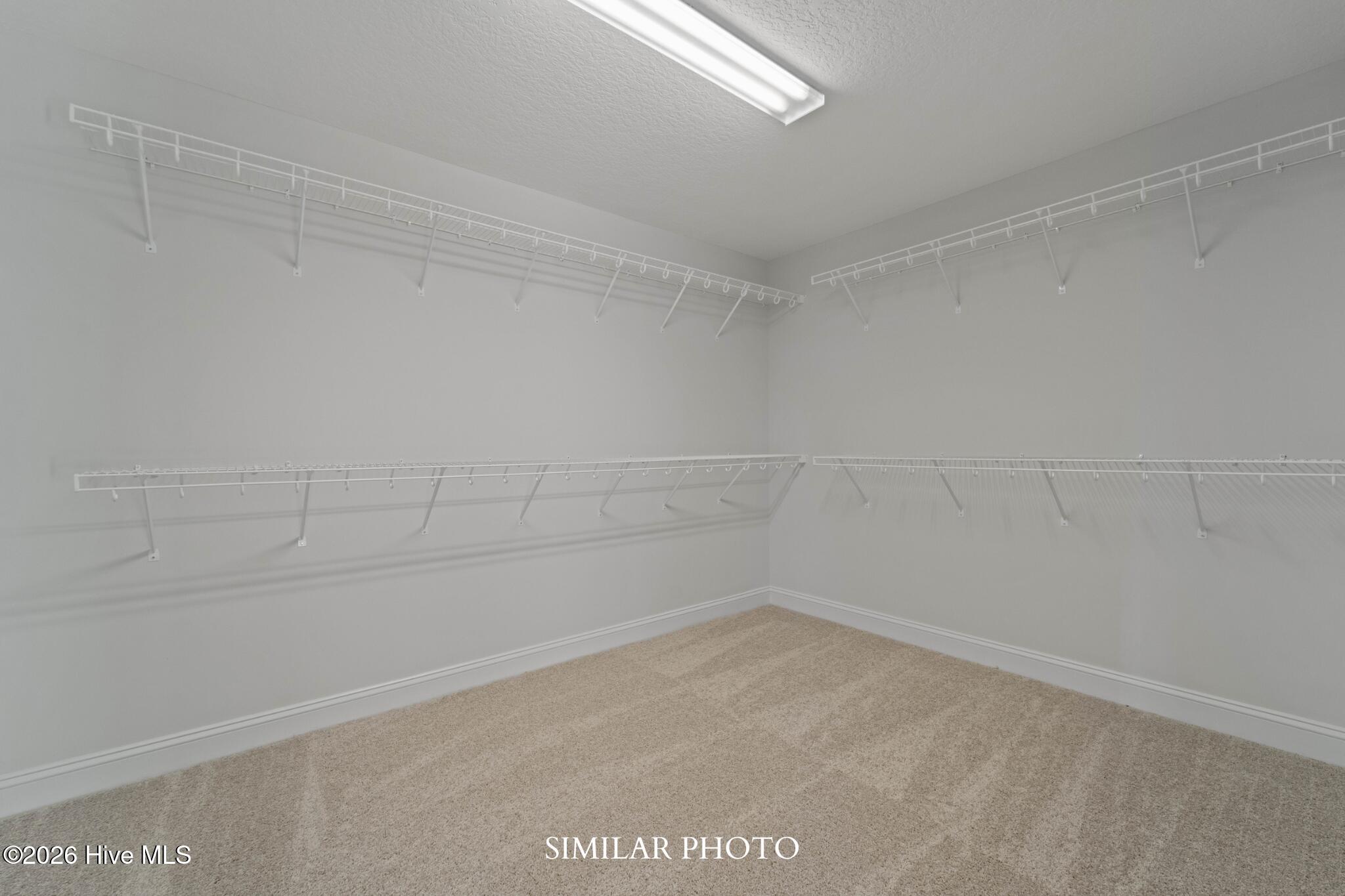 100557029 | Photo 20