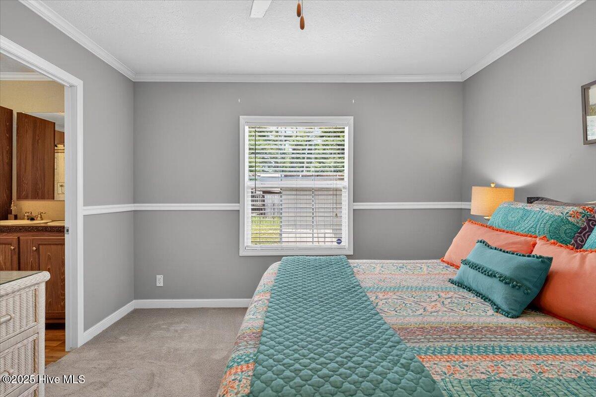 100517576 | Photo 21