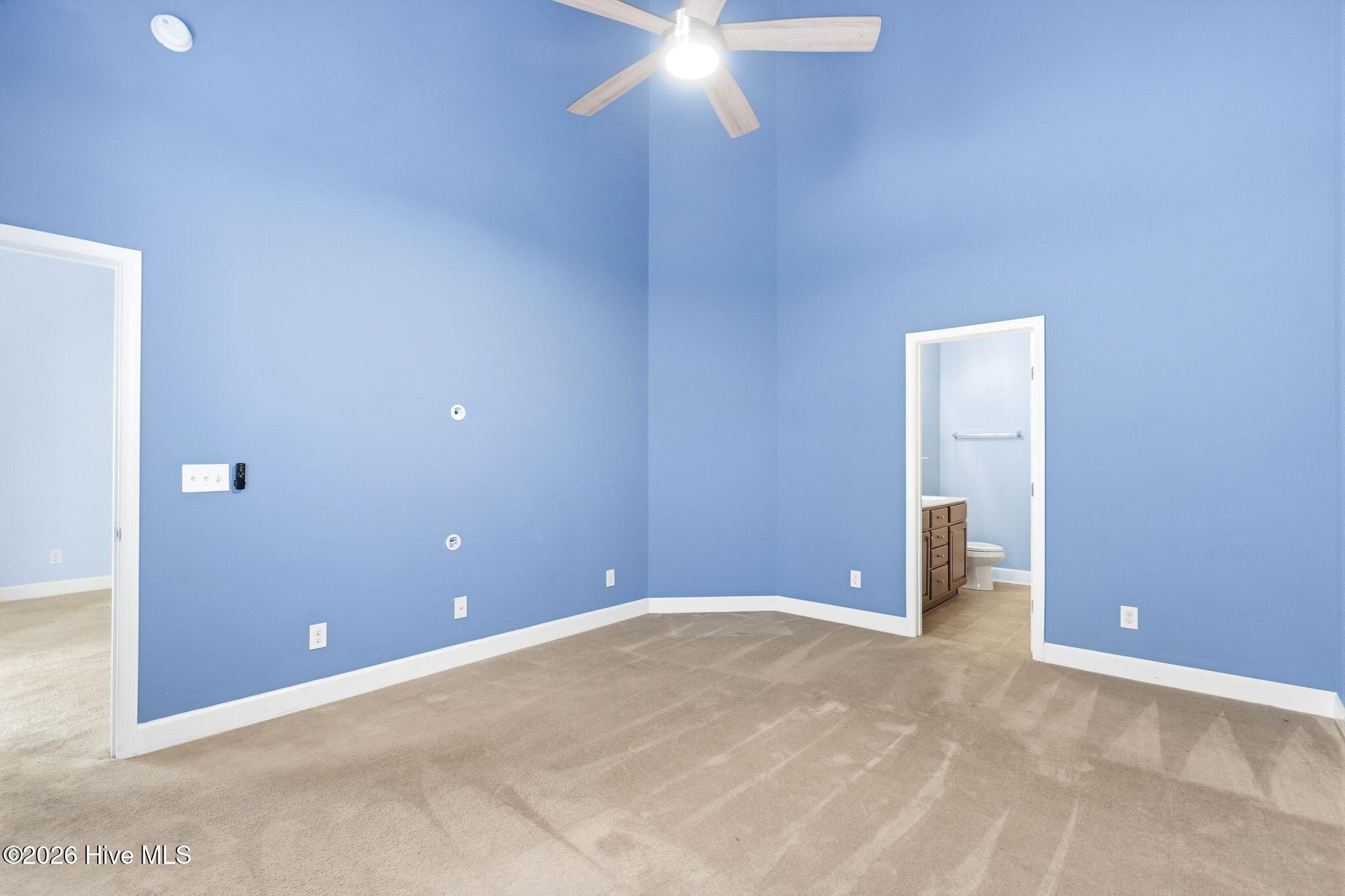 100564398 | Photo 19