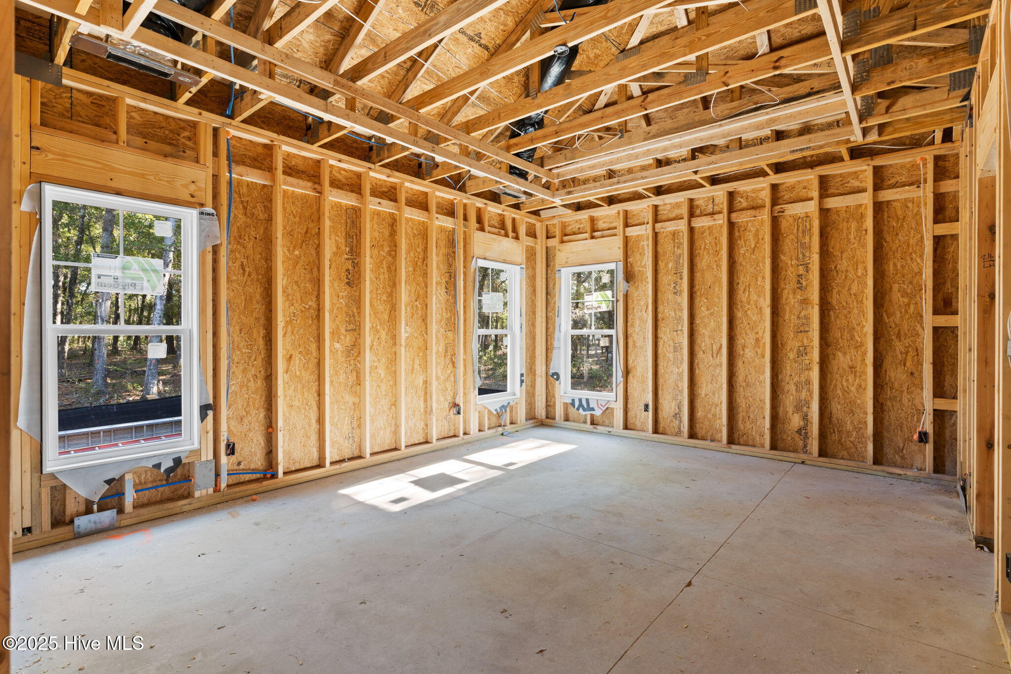 100546687 | Photo 13