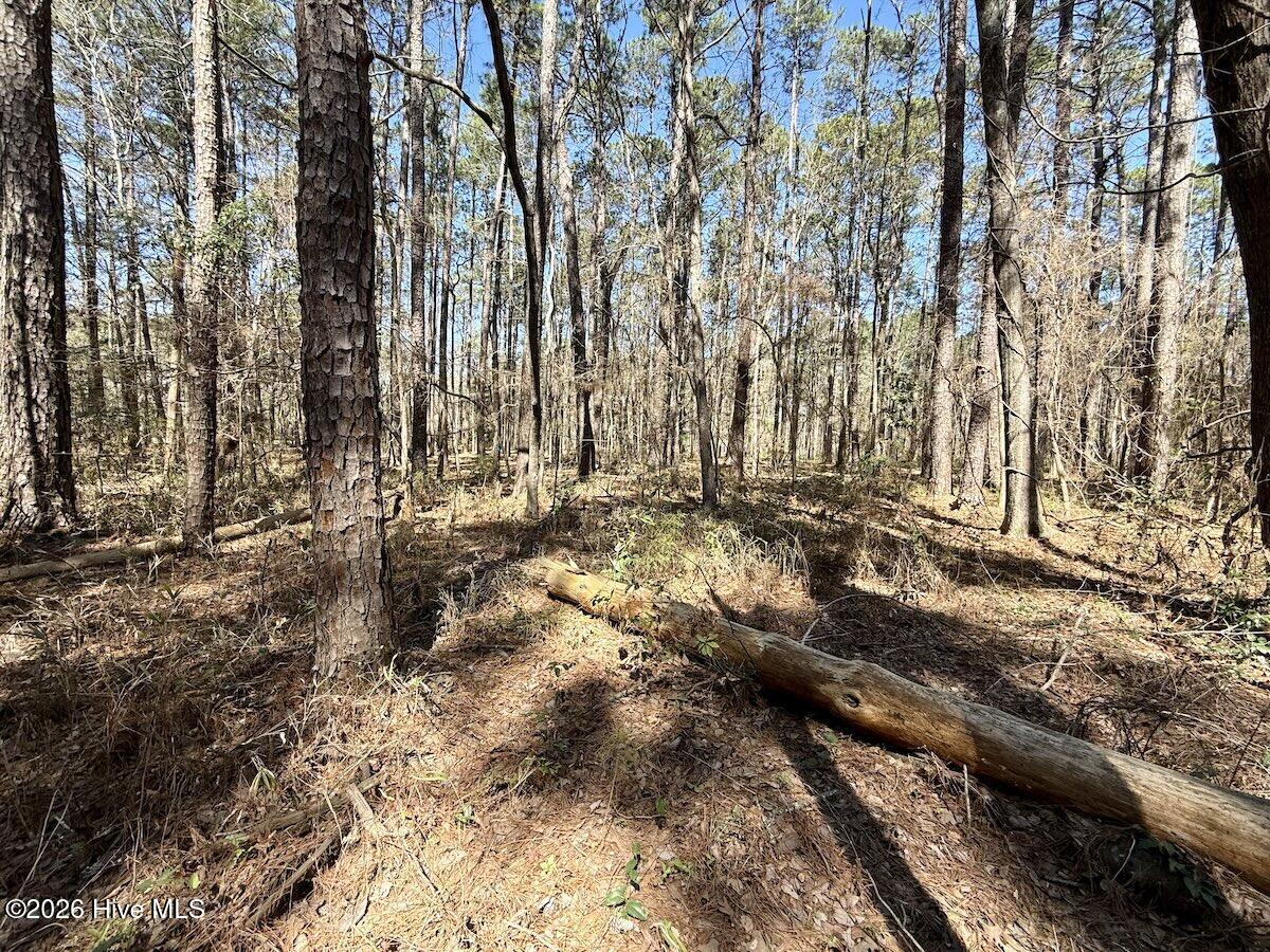 0 Lot 1 Creek Place Road,Arapahoe