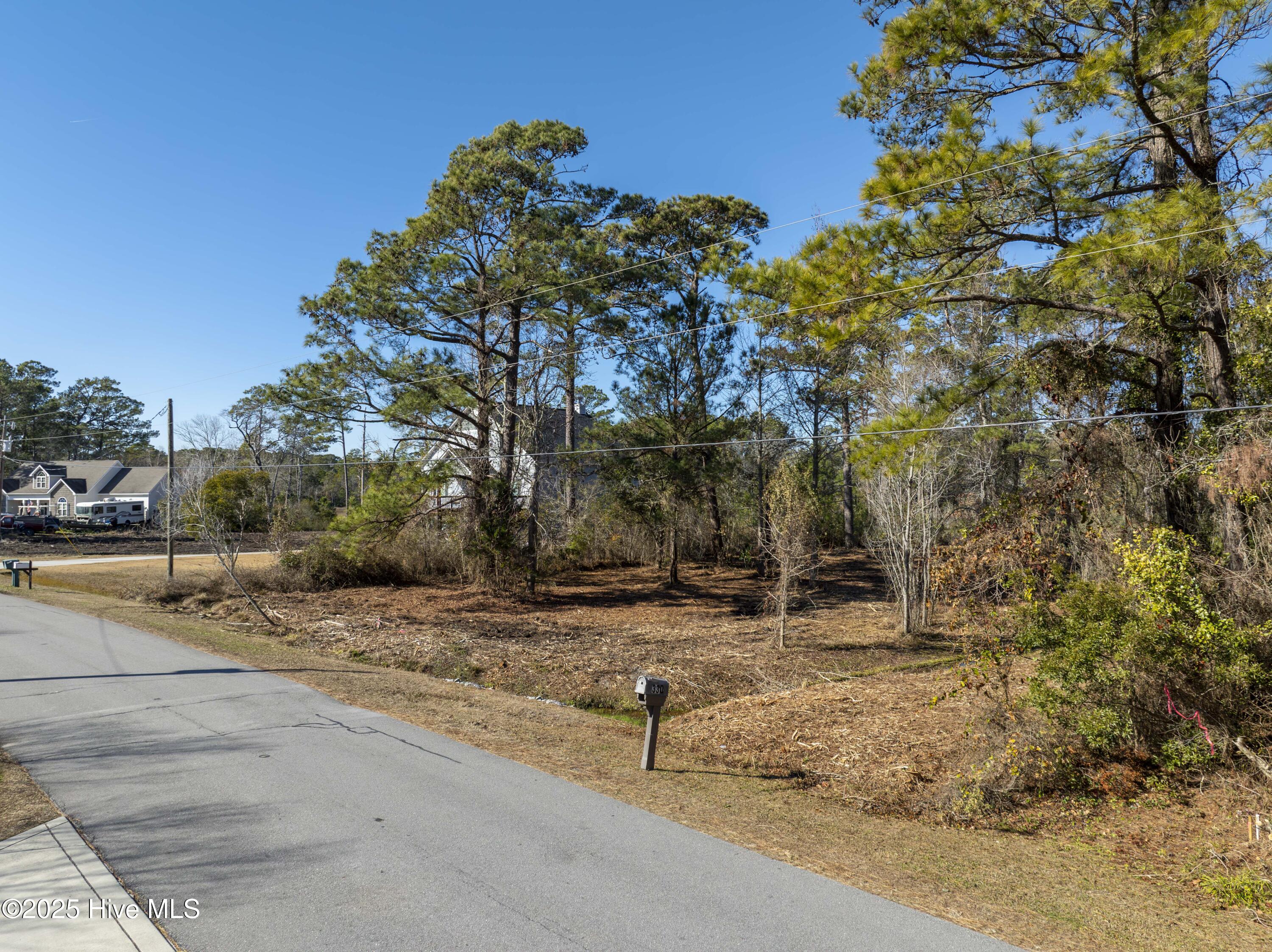 100559086 | Photo 34