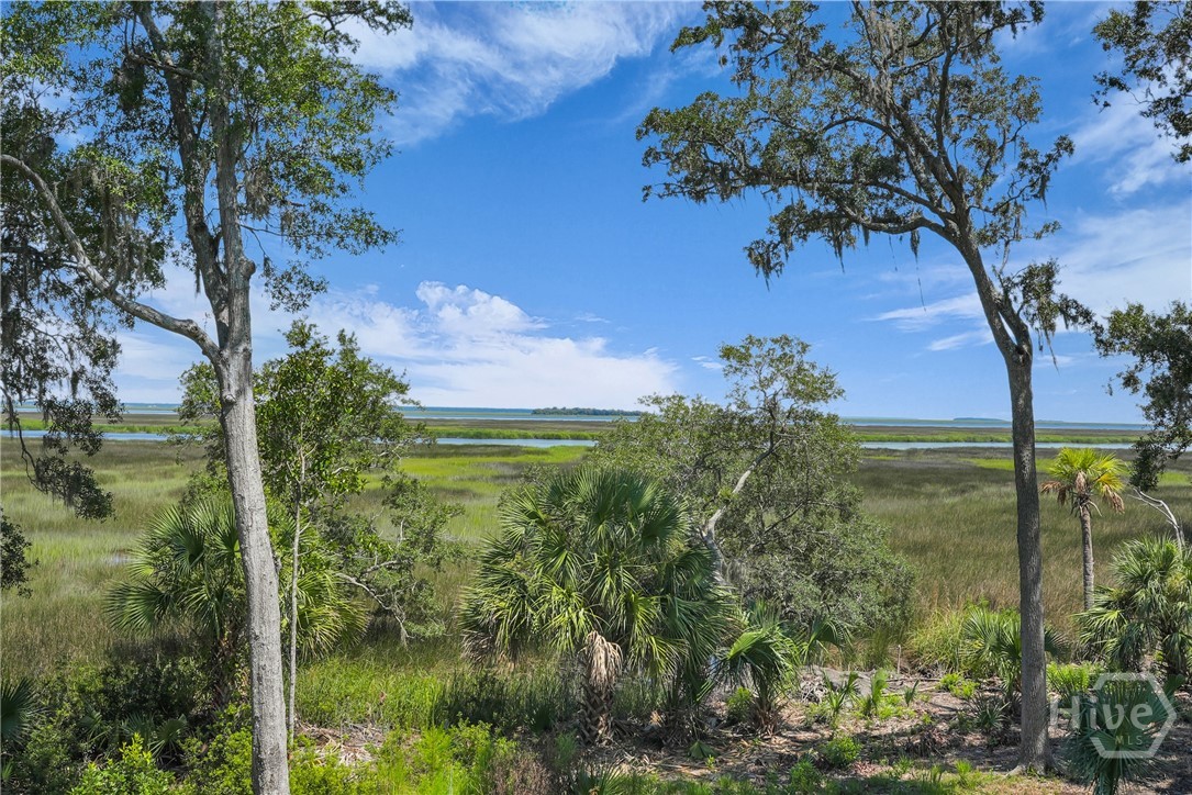 97 Cubbage Island Drive, Richmond Hill, GA 31324 Listing Photo  6