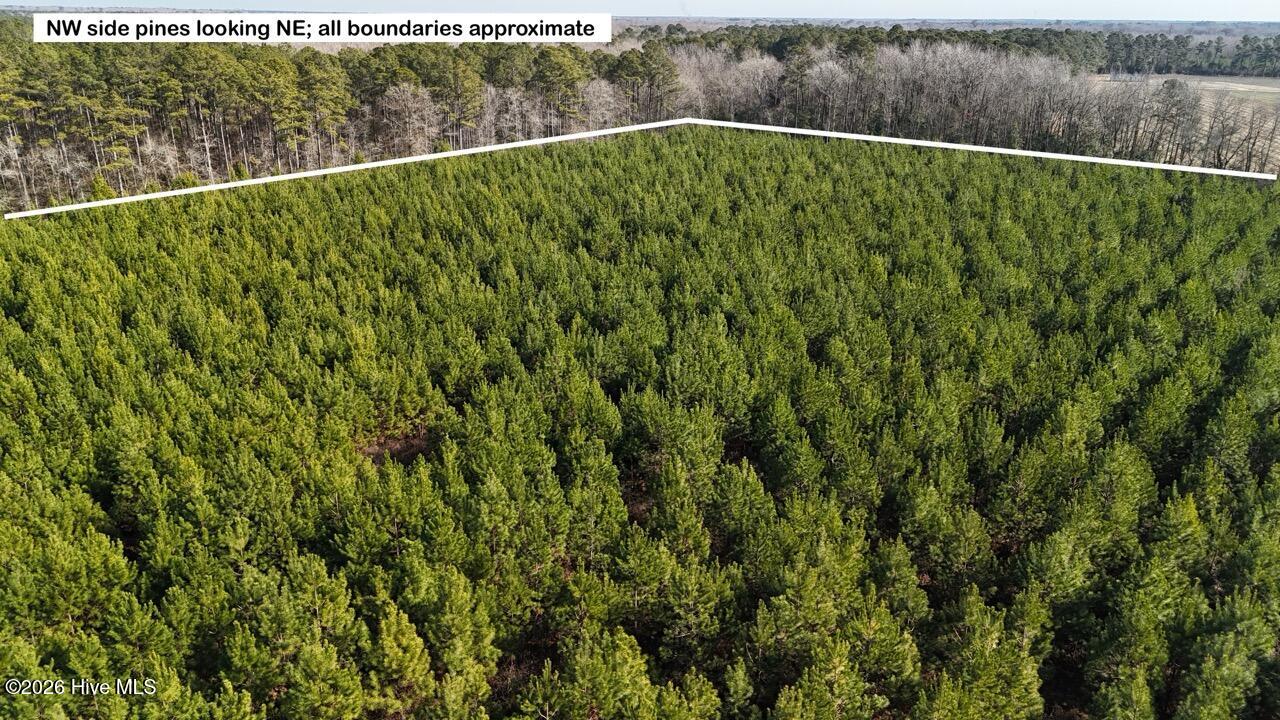 Homes for sale in Maysville, NC | 0 White Oak River Rd, Maysville, NC 28555 | MLS# 100549470